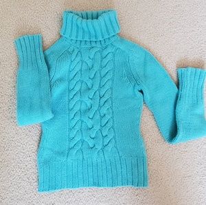 Express Warm Turtleneck Sweater